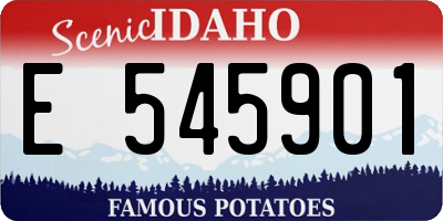 ID license plate E545901