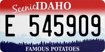 ID license plate E545909