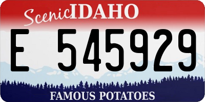 ID license plate E545929
