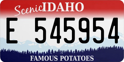 ID license plate E545954