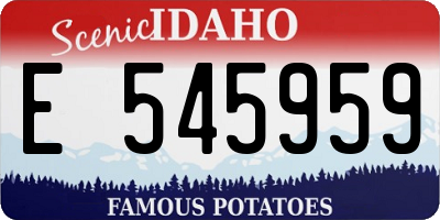 ID license plate E545959