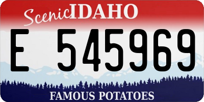 ID license plate E545969