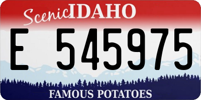 ID license plate E545975