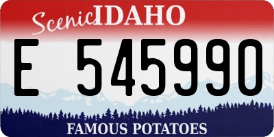 ID license plate E545990