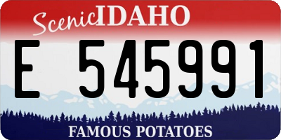 ID license plate E545991