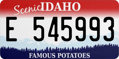 ID license plate E545993