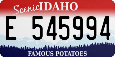 ID license plate E545994