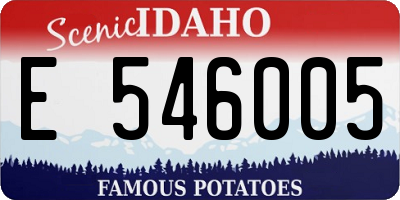 ID license plate E546005
