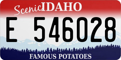ID license plate E546028