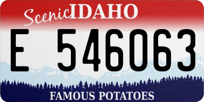 ID license plate E546063