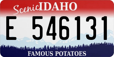 ID license plate E546131