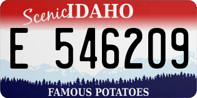 ID license plate E546209