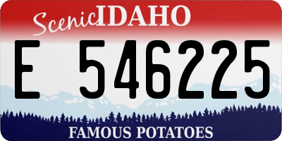 ID license plate E546225