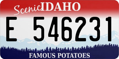ID license plate E546231