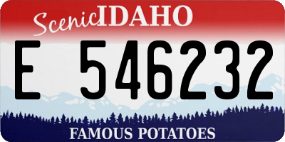 ID license plate E546232