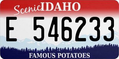 ID license plate E546233