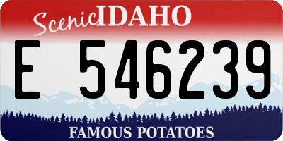 ID license plate E546239