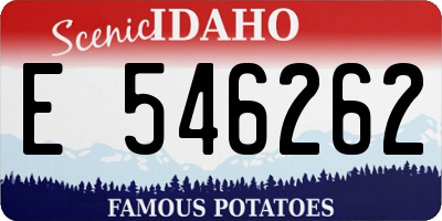 ID license plate E546262