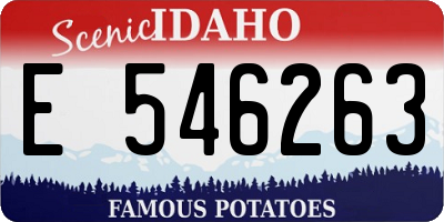 ID license plate E546263