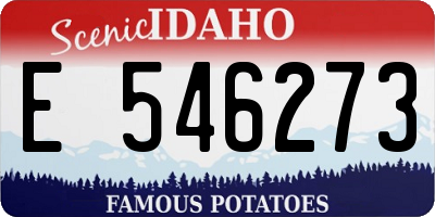 ID license plate E546273