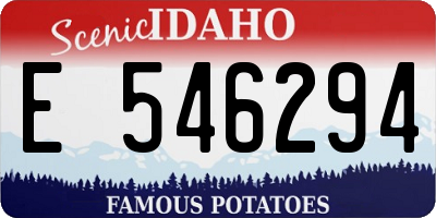 ID license plate E546294