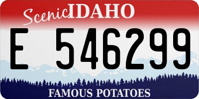 ID license plate E546299