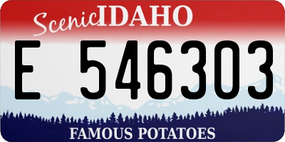ID license plate E546303