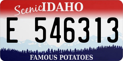 ID license plate E546313