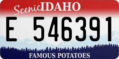 ID license plate E546391