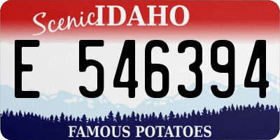 ID license plate E546394
