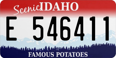 ID license plate E546411
