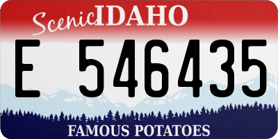 ID license plate E546435