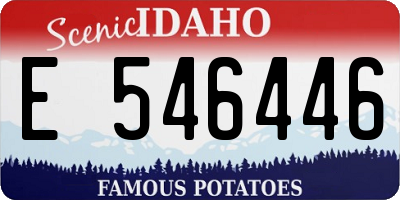 ID license plate E546446