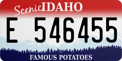 ID license plate E546455