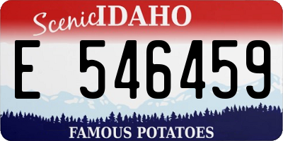 ID license plate E546459