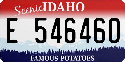 ID license plate E546460