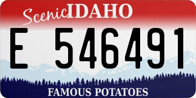 ID license plate E546491