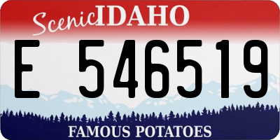 ID license plate E546519
