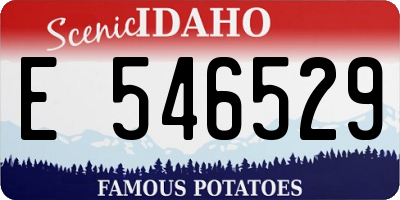 ID license plate E546529