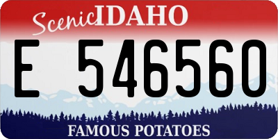 ID license plate E546560