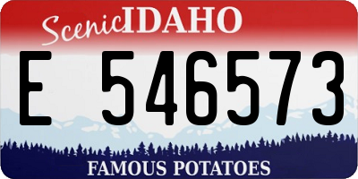 ID license plate E546573
