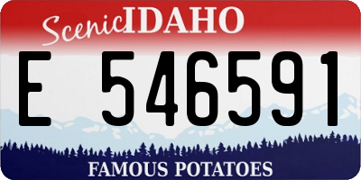 ID license plate E546591