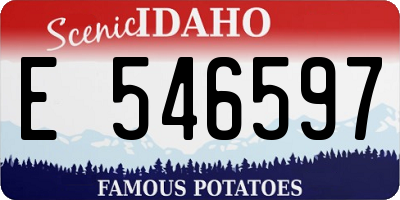 ID license plate E546597