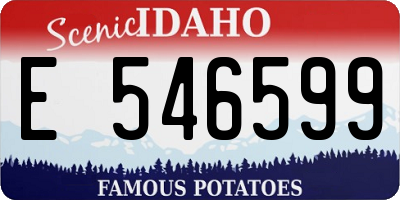 ID license plate E546599