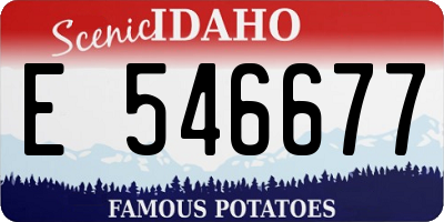 ID license plate E546677
