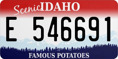 ID license plate E546691