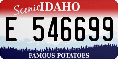 ID license plate E546699