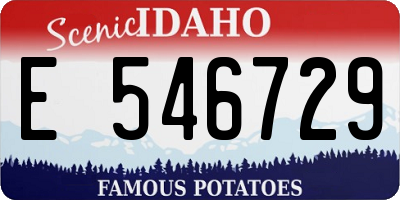 ID license plate E546729