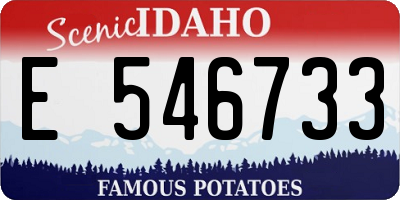 ID license plate E546733
