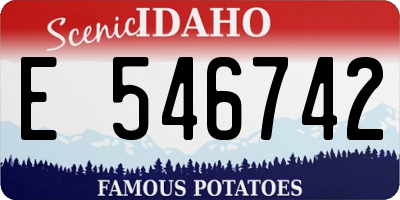 ID license plate E546742